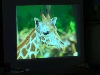 ���������� ��� ����: ������� � ��������